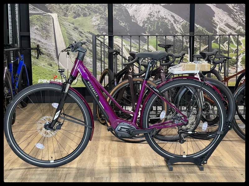 Ridgeback Advance 2W Purple Small Medium-1